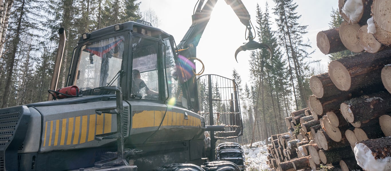 Log Loader Moving Logs